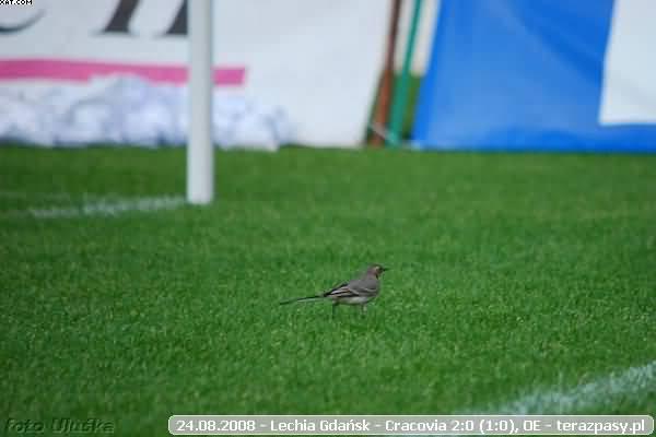2008-08-24-oe-lechia-cracovia-u-2278