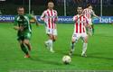 2009-04-17-oe-cracovia-slask-u-001_600