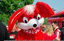 2009-05-03-e-cracovia-polonia_w-u-003_600