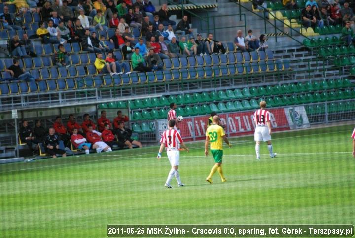 2011-06-25-zylina-cracovia-gorek-05