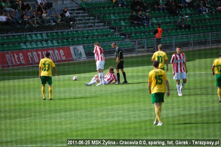 2011-06-25-zylina-cracovia-gorek-27