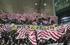 2011-12-10-legia-cracovia-craco-66